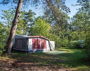 Verblijf 326068 - Stacaravan Veluwe - Coldenhove | Comfort campingplaats | C3