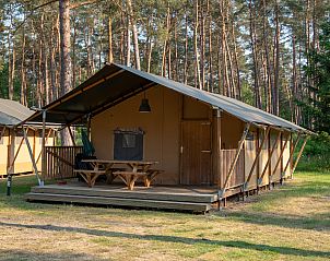 Verblijf 326079 - Vakantiewoning Veluwe - Coldenhove | 6-persoons safaritent | 6ST