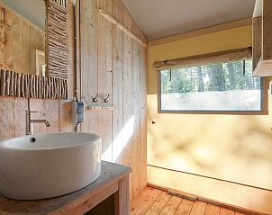 Verblijf 326079 - Vakantiewoning Veluwe - Coldenhove | 6-persoons safaritent | 6ST