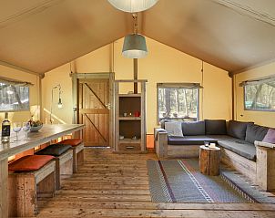 Verblijf 326079 - Vakantiewoning Veluwe - Coldenhove | 6-persoons safaritent | 6ST