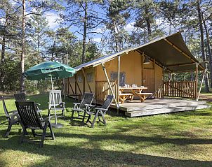 Verblijf 326079 - Vakantiewoning Veluwe - Coldenhove | 6-persoons safaritent | 6ST