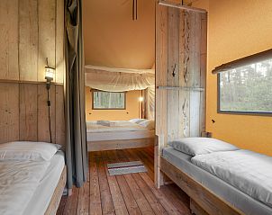 Verblijf 326079 - Vakantiewoning Veluwe - Coldenhove | 6-persoons safaritent | 6ST