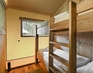 Verblijf 326079 - Vakantiewoning Veluwe - Coldenhove | 6-persoons safaritent | 6ST