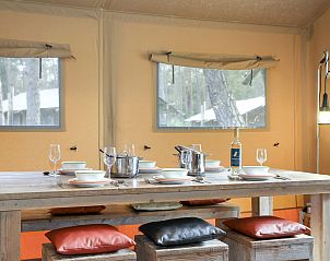 Verblijf 326085 - Vakantiewoning Veluwe - Coldenhove | 6-persoons safaritent | 6ST