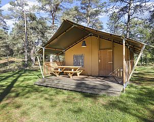 Verblijf 326085 - Vakantiewoning Veluwe - Coldenhove | 6-persoons safaritent | 6ST