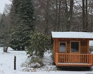 Unterkunft 326108 - Ferienhaus Veluwe - Vakantiehuis in Wenum Wiesel