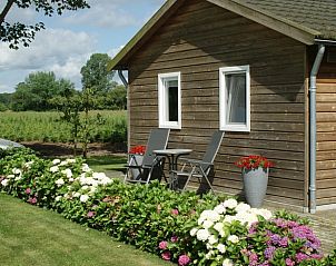 Unterkunft 326109 - Ferienhaus Veluwe - Vakantiehuis in Wiesel / Vaassen / Veluwe