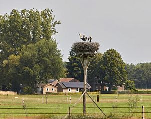 Unterkunft 326109 - Ferienhaus Veluwe - Vakantiehuis in Wiesel / Vaassen / Veluwe