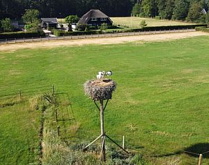 Unterkunft 326109 - Ferienhaus Veluwe - Vakantiehuis in Wiesel / Vaassen / Veluwe