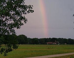 Unterkunft 326109 - Ferienhaus Veluwe - Vakantiehuis in Wiesel / Vaassen / Veluwe