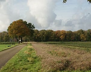Unterkunft 326109 - Ferienhaus Veluwe - Vakantiehuis in Wiesel / Vaassen / Veluwe