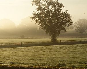 Unterkunft 326109 - Ferienhaus Veluwe - Vakantiehuis in Wiesel / Vaassen / Veluwe