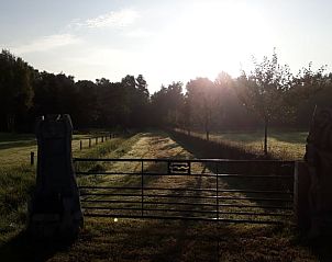 Unterkunft 326112 - Ferienhaus Veluwe - Vakantiehuisje in Wenum Wiesel