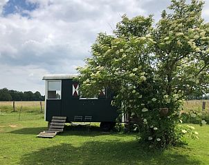 Verblijf 326115 • Vakantiewoning Veluwe • Huisje in Wenum Wiesel 