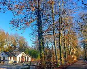 Unterkunft 326116 - Ferienhaus Veluwe - Vakantiehuis in Wenum Wiesel