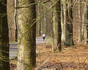 Guest house 326120 - Holiday property Veluwe - Vakantiehuis Anwesen 