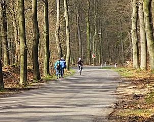 Guest house 326120 - Holiday property Veluwe - Vakantiehuis Anwesen 