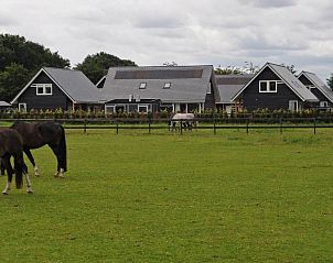 Guest house 326120 - Holiday property Veluwe - Vakantiehuis Anwesen 