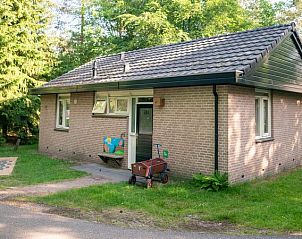 Gezellige buitenkant van Rabbit Hill kinderbungalow in Veluwe, Gelderland.