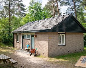 Speelse kinderkamer in Rabbit Hill 4-persoons bungalow, Nieuw Milligen, Veluwe. Gezellige inrichting met uitzicht op de natuur.
