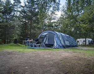 Unterkunft 326427 - Mobilheim Veluwe - Rabbit Hill | Comfort campingplaats | C10+