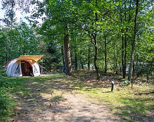 Unterkunft 326427 - Mobilheim Veluwe - Rabbit Hill | Comfort campingplaats | C10+