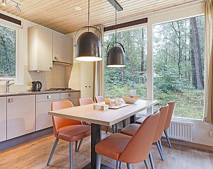 Unterkunft 326431 - Bungalow Veluwe - Rabbit Hill | 6-persoons bungalow | 6C