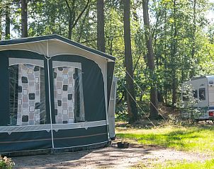 Unterkunft 326433 • Mobilheim Veluwe • Rabbit Hill | Luxe campingplaats | CS16+ 