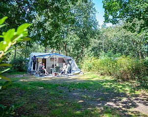 Unterkunft 326435 - Mobilheim Veluwe - Rabbit Hill | Comfort campingplaats | C16+