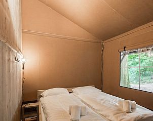 Slaapkamer in Rabbit Hill safaritent, Nieuw Milligen, Veluwe, met dubbel bed en uitzicht op het bos.