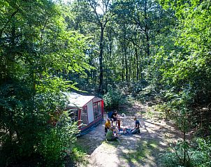 Unterkunft 326448 • Mobilheim Veluwe • Rabbit Hill | Basis campingplaats | C10 