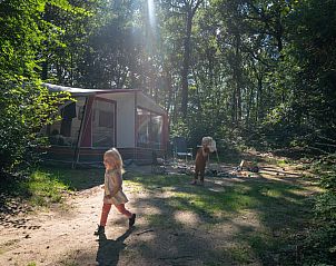 Unterkunft 326448 - Mobilheim Veluwe - Rabbit Hill | Basis campingplaats | C10