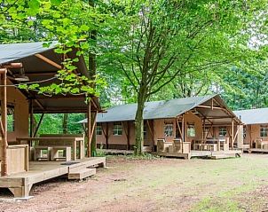 Unterkunft 326450 - Ferienhaus Veluwe - Rabbit Hill | 6-persoons safaritent | 6ST