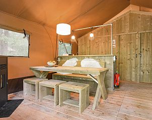 Unterkunft 326450 - Ferienhaus Veluwe - Rabbit Hill | 6-persoons safaritent | 6ST