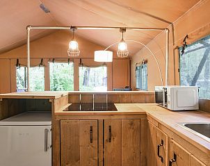 Unterkunft 326450 - Ferienhaus Veluwe - Rabbit Hill | 6-persoons safaritent | 6ST