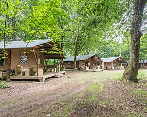 Unterkunft 326450 - Ferienhaus Veluwe - Rabbit Hill | 6-persoons safaritent | 6ST