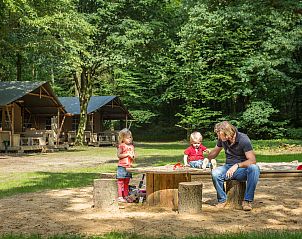 Unterkunft 326450 - Ferienhaus Veluwe - Rabbit Hill | 6-persoons safaritent | 6ST