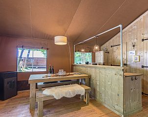 Unterkunft 326450 - Ferienhaus Veluwe - Rabbit Hill | 6-persoons safaritent | 6ST