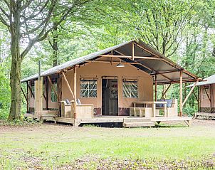 Unterkunft 326450 - Ferienhaus Veluwe - Rabbit Hill | 6-persoons safaritent | 6ST