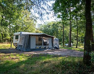Verken Rabbit Hill in Nieuw Milligen, Veluwe, met luxe campingplaats C16L en uitstekende voorzieningen te midden van de natuur.