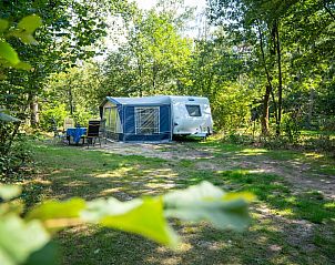 Kamperen in luxe op Rabbit Hill, een prachtige campingplaats in Nieuw Milligen, Veluwe, omgeven door weelderige bossen.