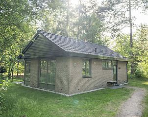 Guest house 326462 • Bungalow Veluwe • Rabbit Hill | 4-persoons bungalow | 4CE 