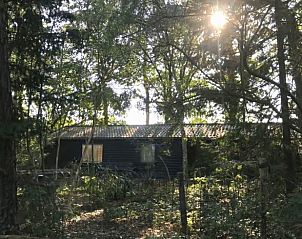 Guest house 3265103 - Holiday property Veluwe - Vakantiehuis in Nijkerk
