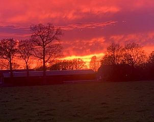 Unterkunft 3265103 - Ferienhaus Veluwe - Vakantiehuis in Nijkerk