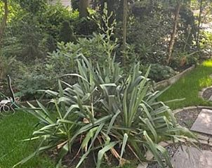 Unterkunft 3265103 - Ferienhaus Veluwe - Vakantiehuis in Nijkerk