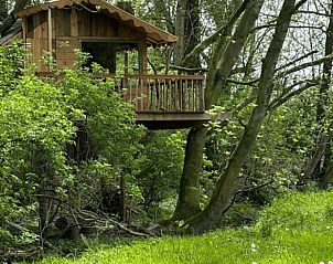 Unterkunft 3265106 - Ferienhaus Veluwe - Vakantiehuis in Nijkerk