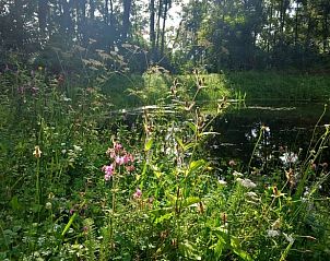 Unterkunft 3265106 - Ferienhaus Veluwe - Vakantiehuis in Nijkerk