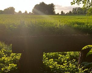 Unterkunft 3265109 - Ferienhaus Veluwe - Vakantiehuisje in Nijkerk