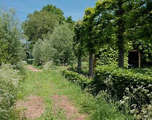 Unterkunft 326526 - Ferienhaus Veluwe - Vakantiehuisje in Nijkerk