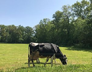 Unterkunft 326526 - Ferienhaus Veluwe - Vakantiehuisje in Nijkerk